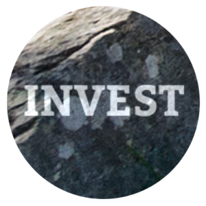 Invest with Purpose